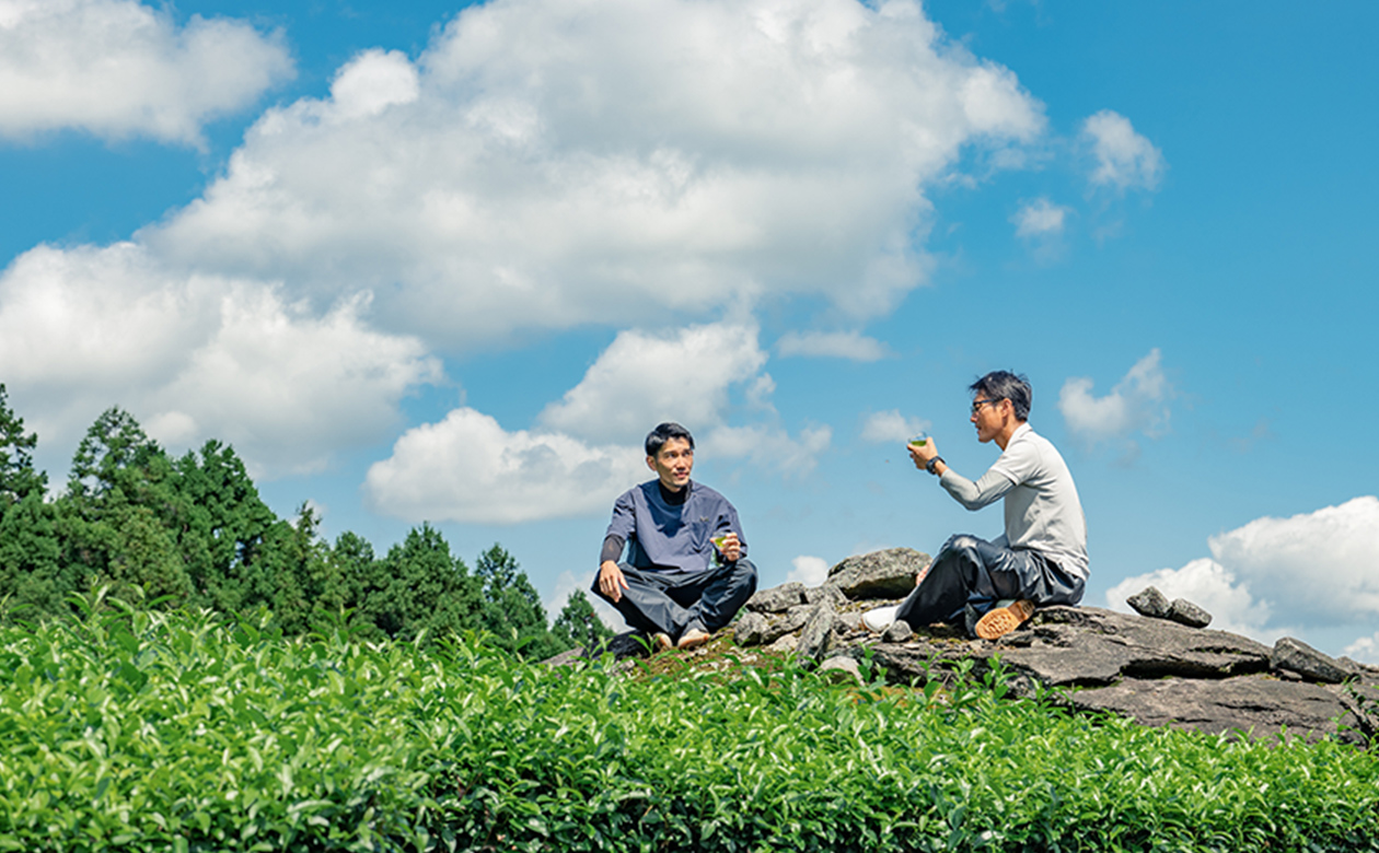 Image: Ureshino tea