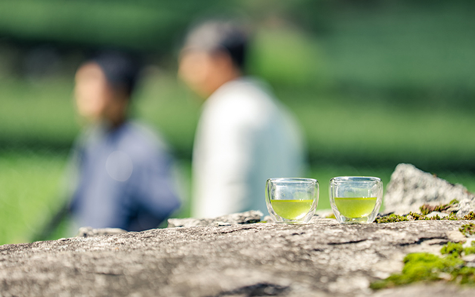 Image: Ureshino tea